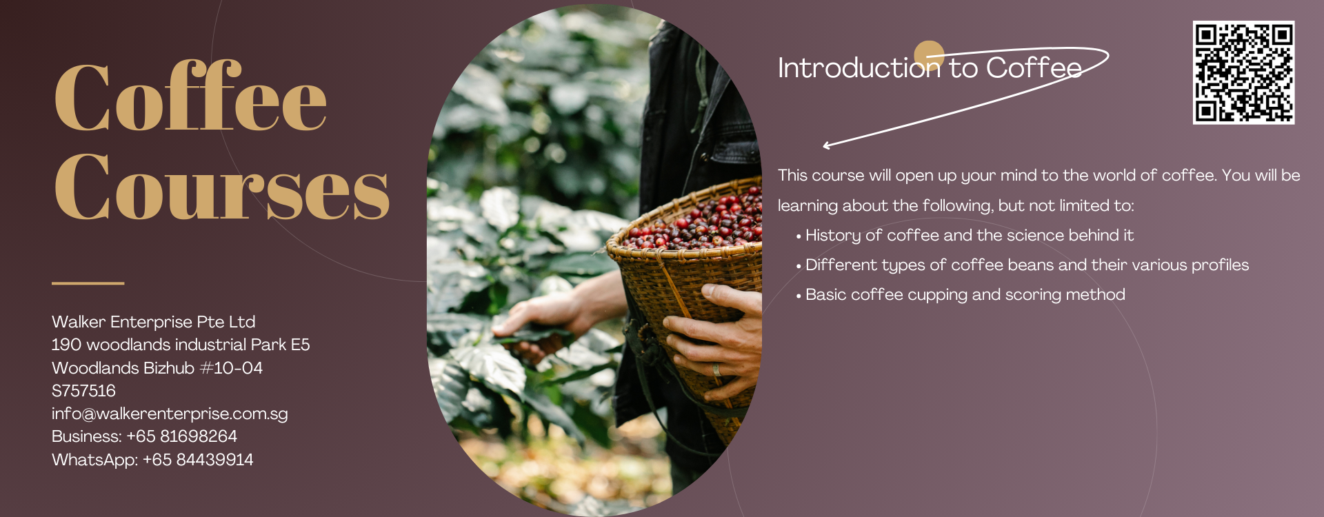 Coffee Courses