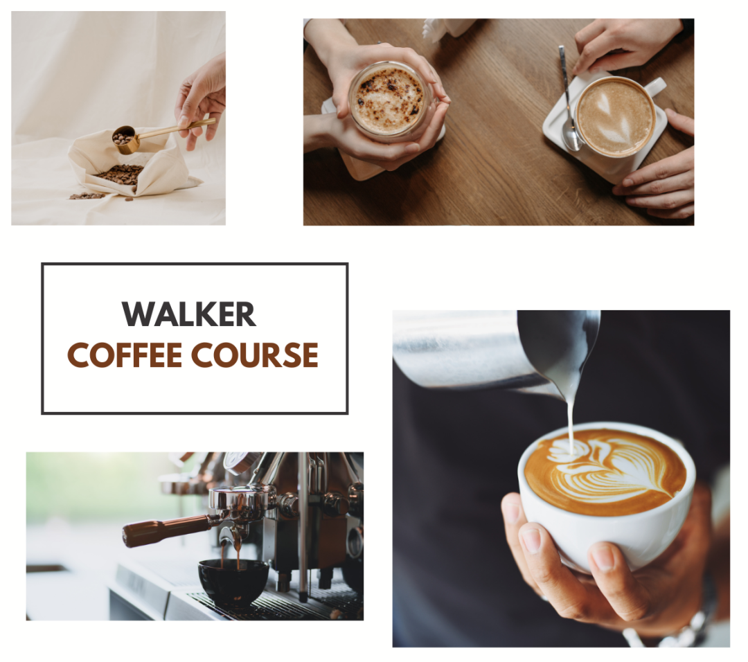 Walker Solutions