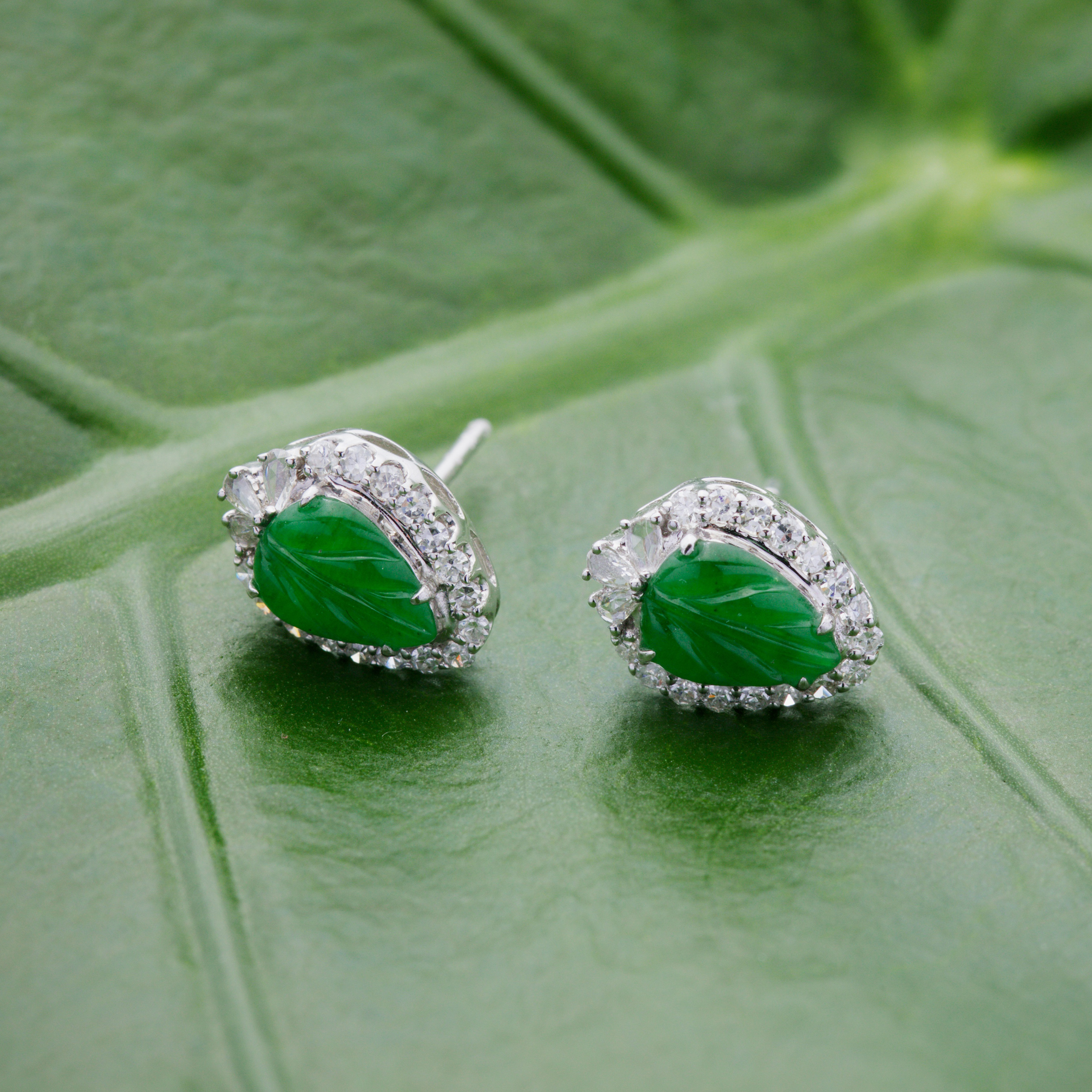 18K White Gold Apple Green Leaves Jade Ear Studs (PJA00536)