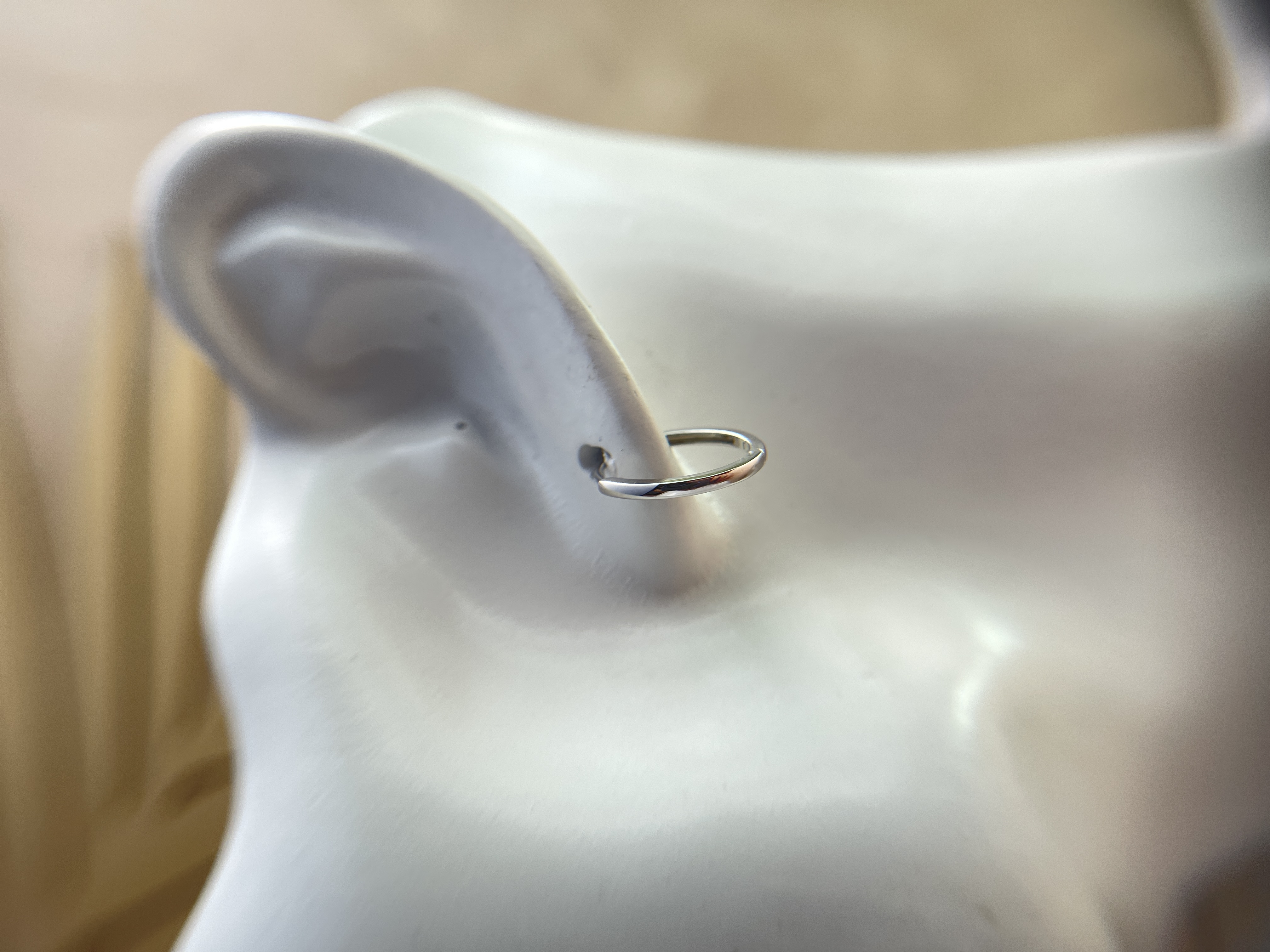 Interlocking Double Hoops Jadeite Earrings (PJA00279)