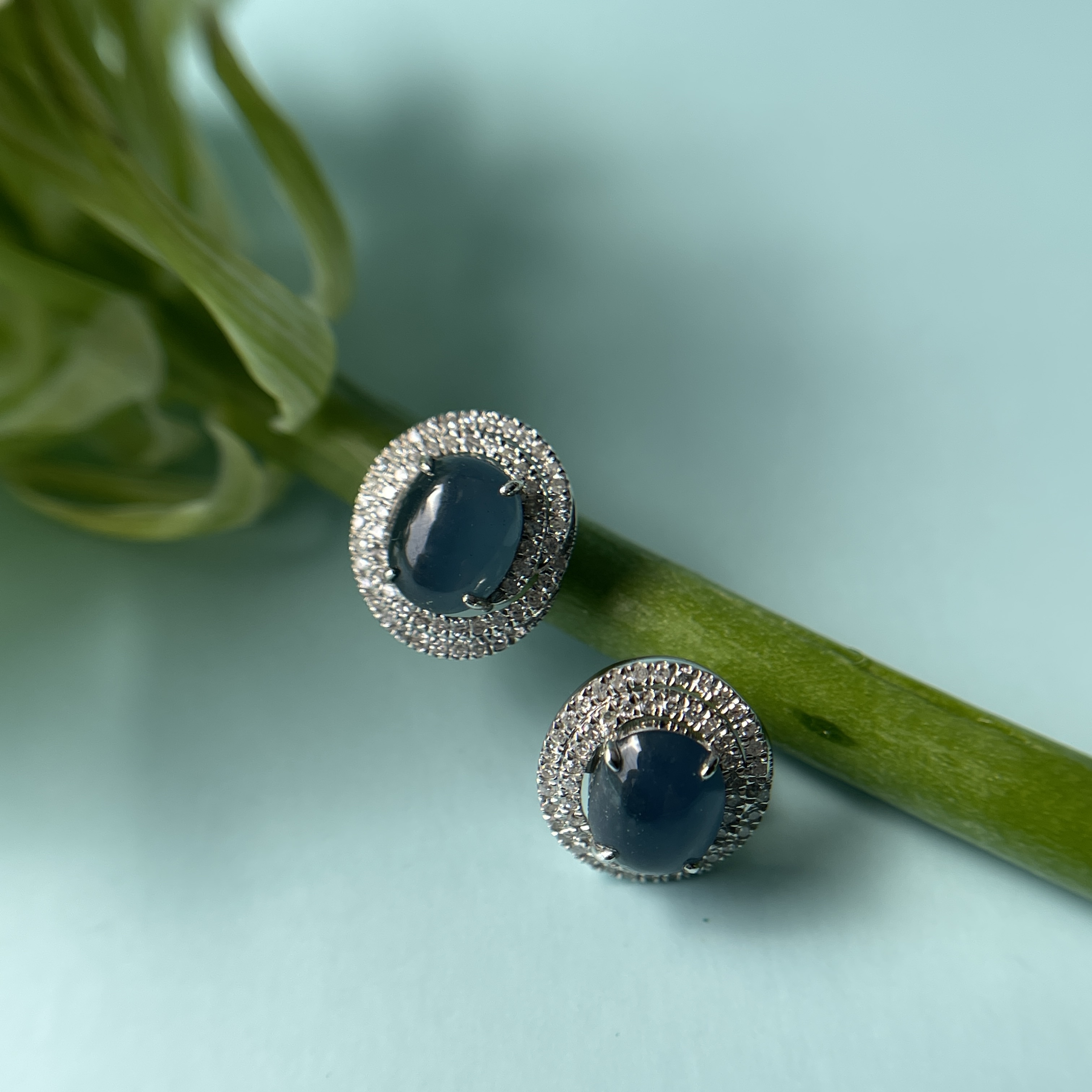 Bleu De Devil Collection