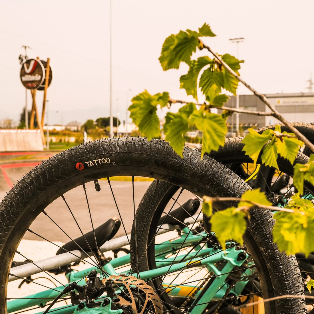 Vittoria Tattoo BMX