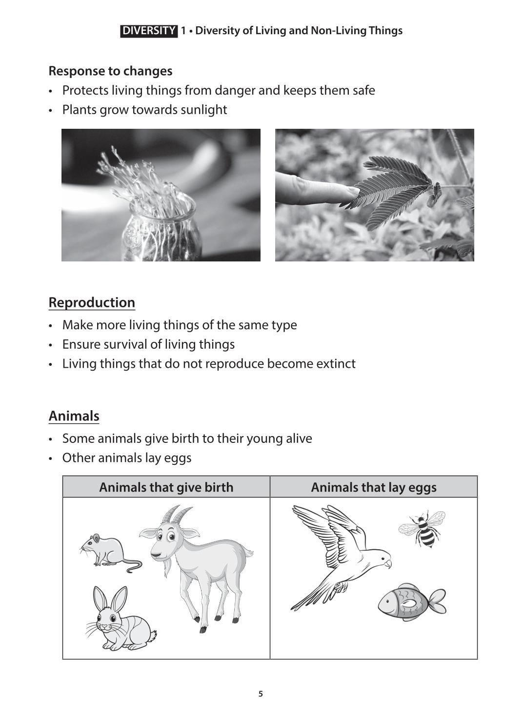 Science Topical Science Primary 3 Concept Notes & Application-based Practice