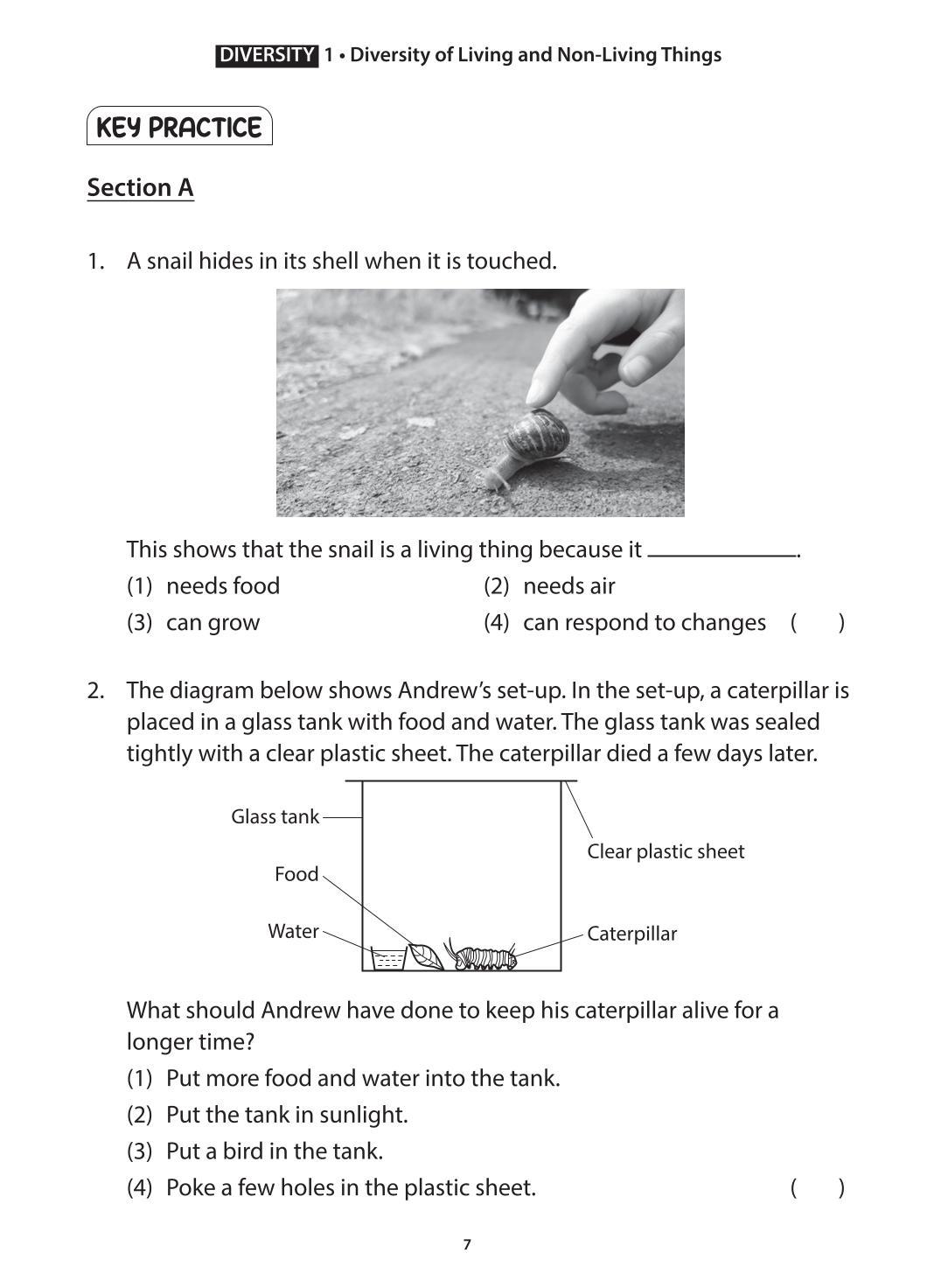 Science Topical Science Primary 3 Concept Notes & Application-based Practice
