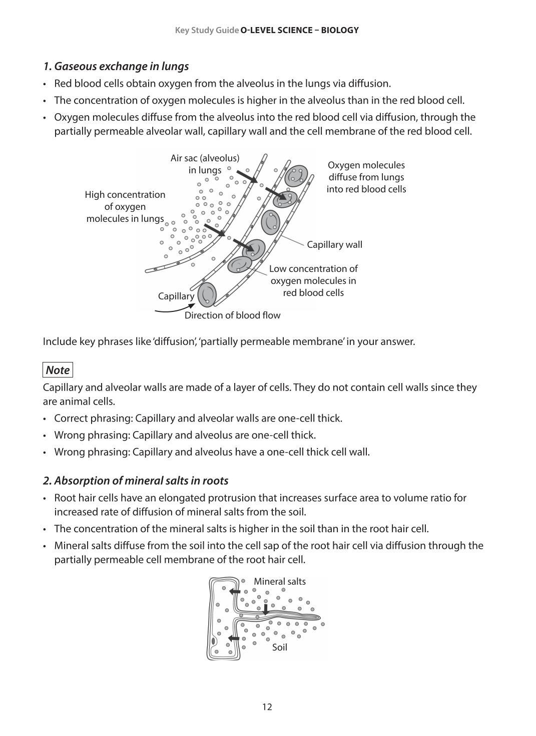 Key Study Guide: O-Level Science Biology Revision Notes & Practice