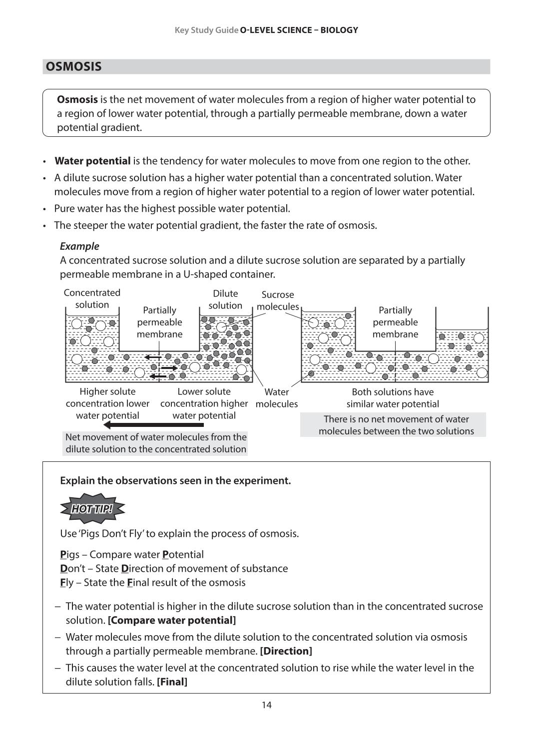 Key Study Guide: O-Level Science Biology Revision Notes & Practice
