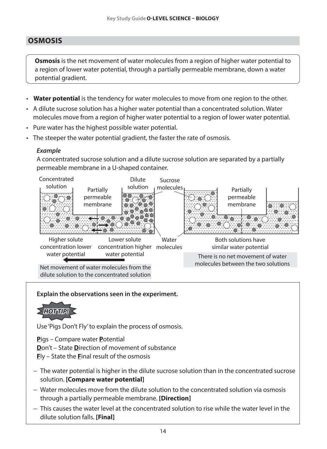 Key Study Guide: O-Level Science Biology Revision Notes & Practice