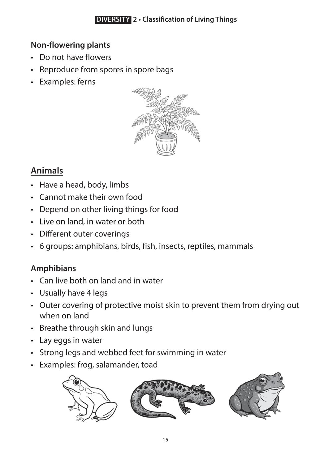 Science Topical Science Primary 3 Concept Notes & Application-based Practice