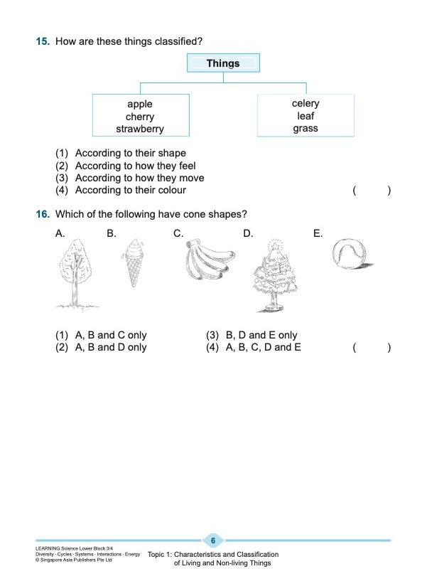 LEARNING SCIENCE Diversity . Cycles . Systems . Interactions . Energy LOWER BLOCK 3/4