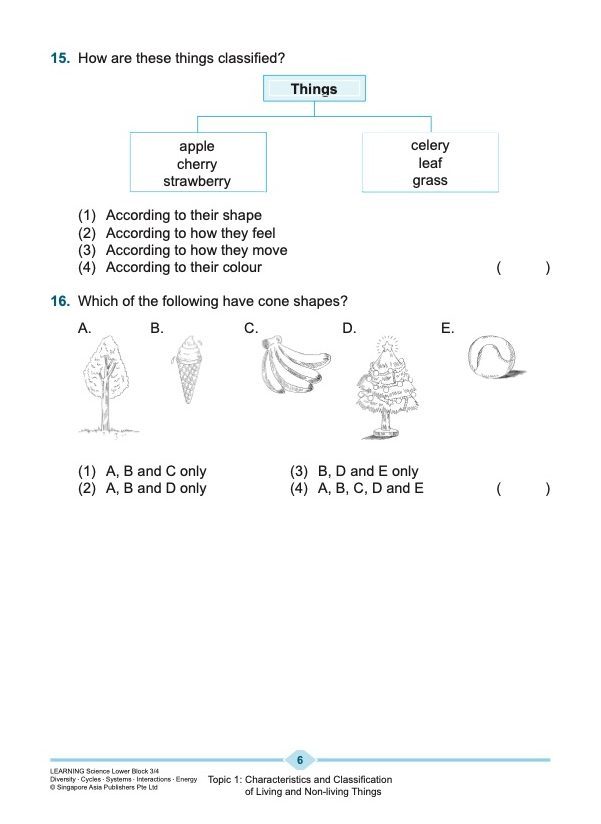 LEARNING SCIENCE Diversity . Cycles . Systems . Interactions . Energy LOWER BLOCK 3/4