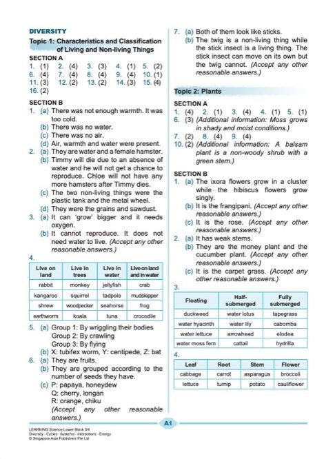 LEARNING SCIENCE Diversity . Cycles . Systems . Interactions . Energy LOWER BLOCK 3/4
