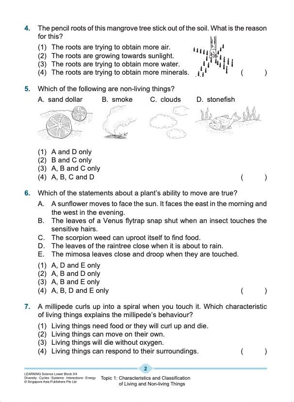 LEARNING SCIENCE Diversity . Cycles . Systems . Interactions . Energy LOWER BLOCK 3/4