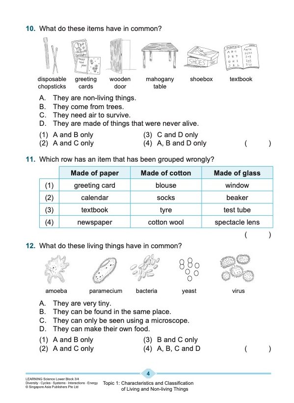 LEARNING SCIENCE Diversity . Cycles . Systems . Interactions . Energy LOWER BLOCK 3/4