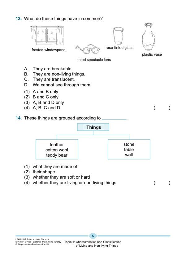 LEARNING SCIENCE Diversity . Cycles . Systems . Interactions . Energy LOWER BLOCK 3/4