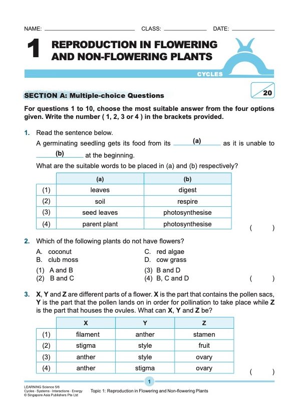 LEARNING SCIENCE Cycles . Systems . Interactions . Energy UPPER BLOCK 5/6