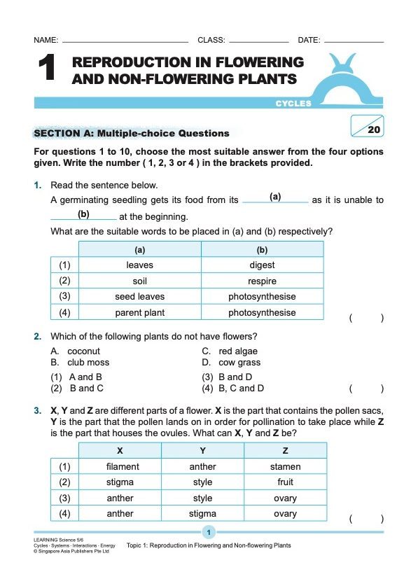 LEARNING SCIENCE Cycles . Systems . Interactions . Energy UPPER BLOCK 5/6