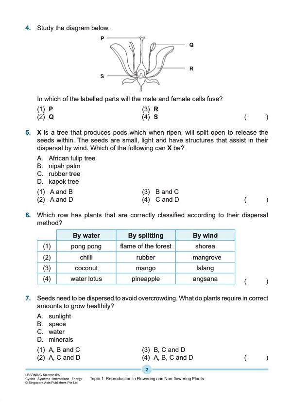 LEARNING SCIENCE Cycles . Systems . Interactions . Energy UPPER BLOCK 5/6