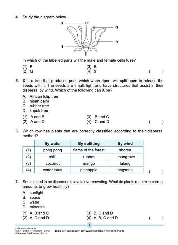 LEARNING SCIENCE Cycles . Systems . Interactions . Energy UPPER BLOCK 5/6