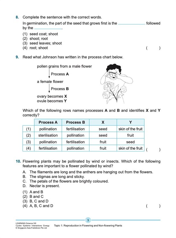 LEARNING SCIENCE Cycles . Systems . Interactions . Energy UPPER BLOCK 5/6