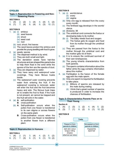 LEARNING SCIENCE Cycles . Systems . Interactions . Energy UPPER BLOCK 5/6