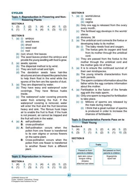 LEARNING SCIENCE Cycles . Systems . Interactions . Energy UPPER BLOCK 5/6