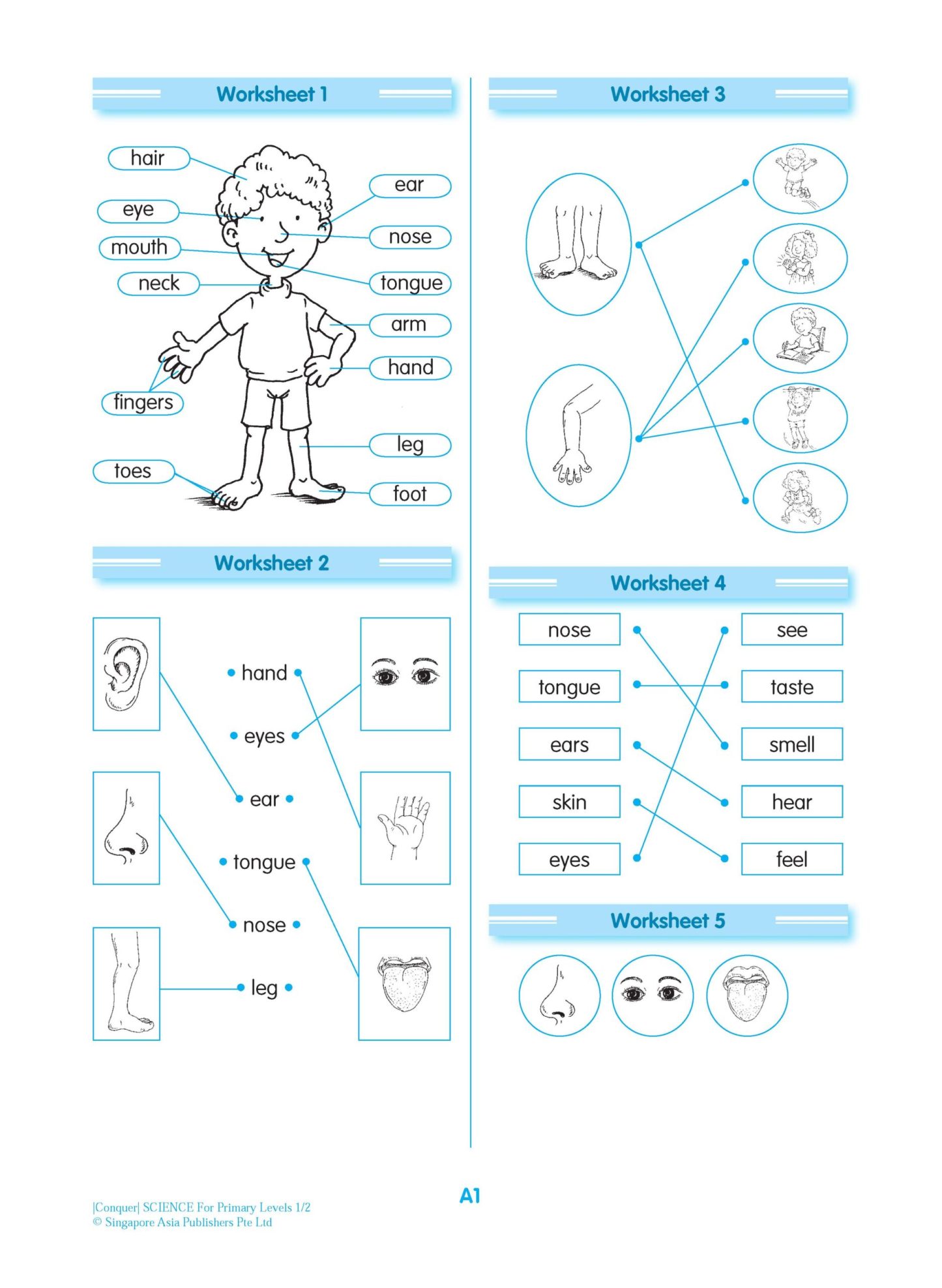 Conquer SCIENCE For Primary Levels 1/2