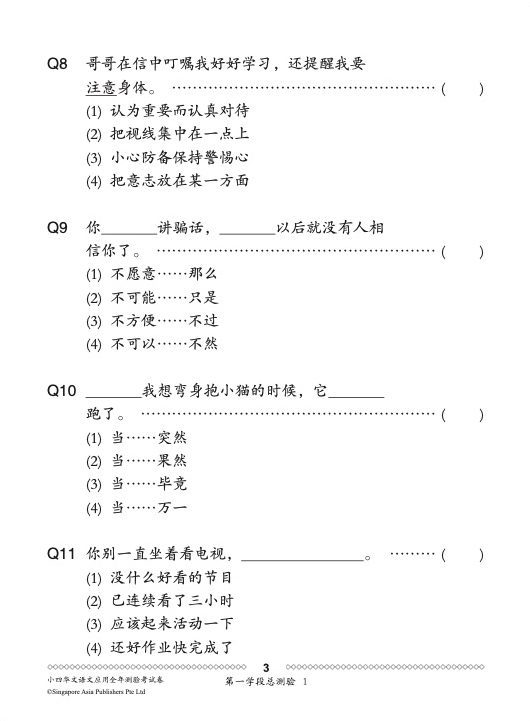小四华文 语文应用 全年测验考试卷 / Primary 4 Chinese Revision Tests On Language And Usage