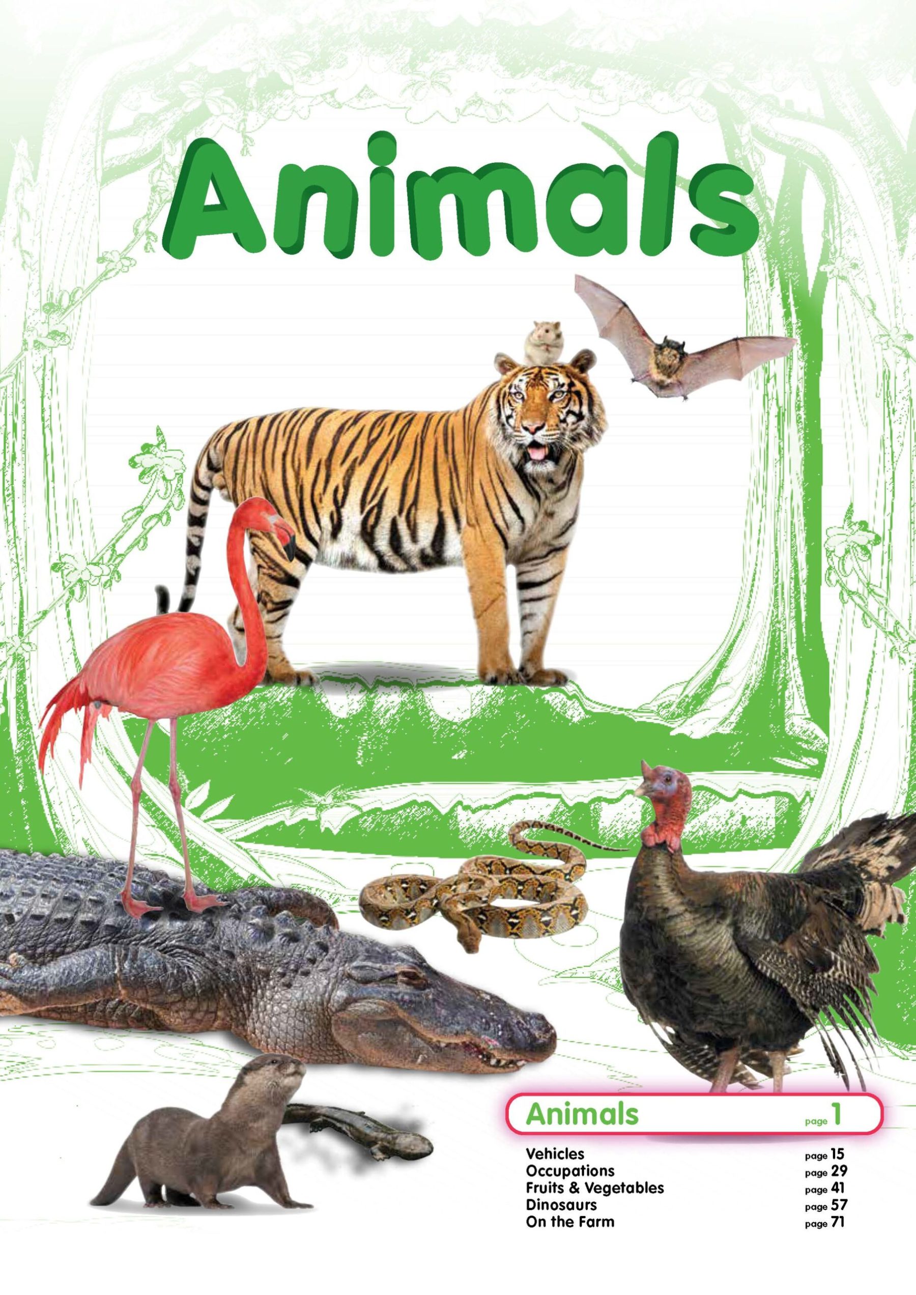 SUPER SKILLS First Picture Vocabulary Kindergarten 2