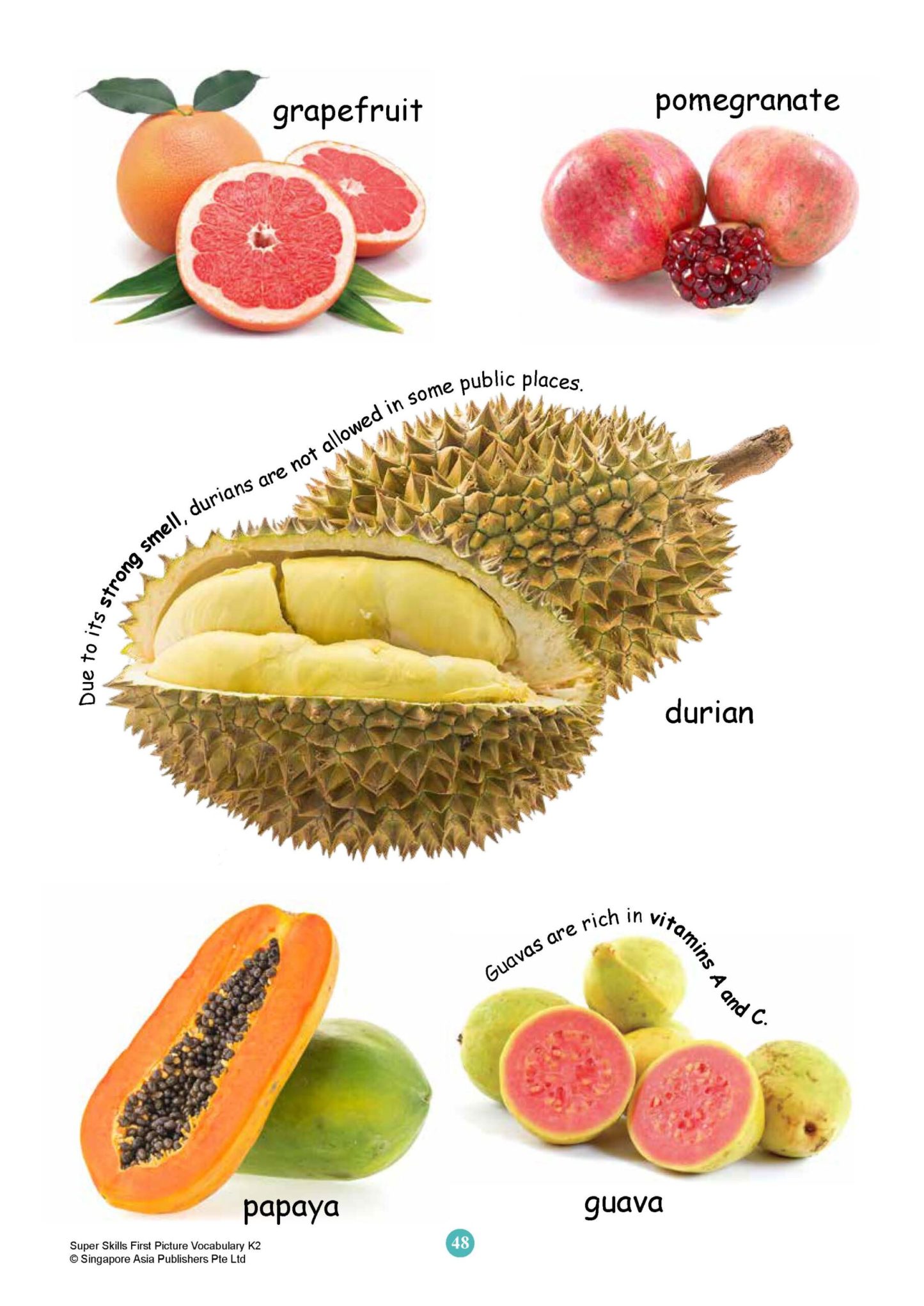 SUPER SKILLS First Picture Vocabulary Kindergarten 2