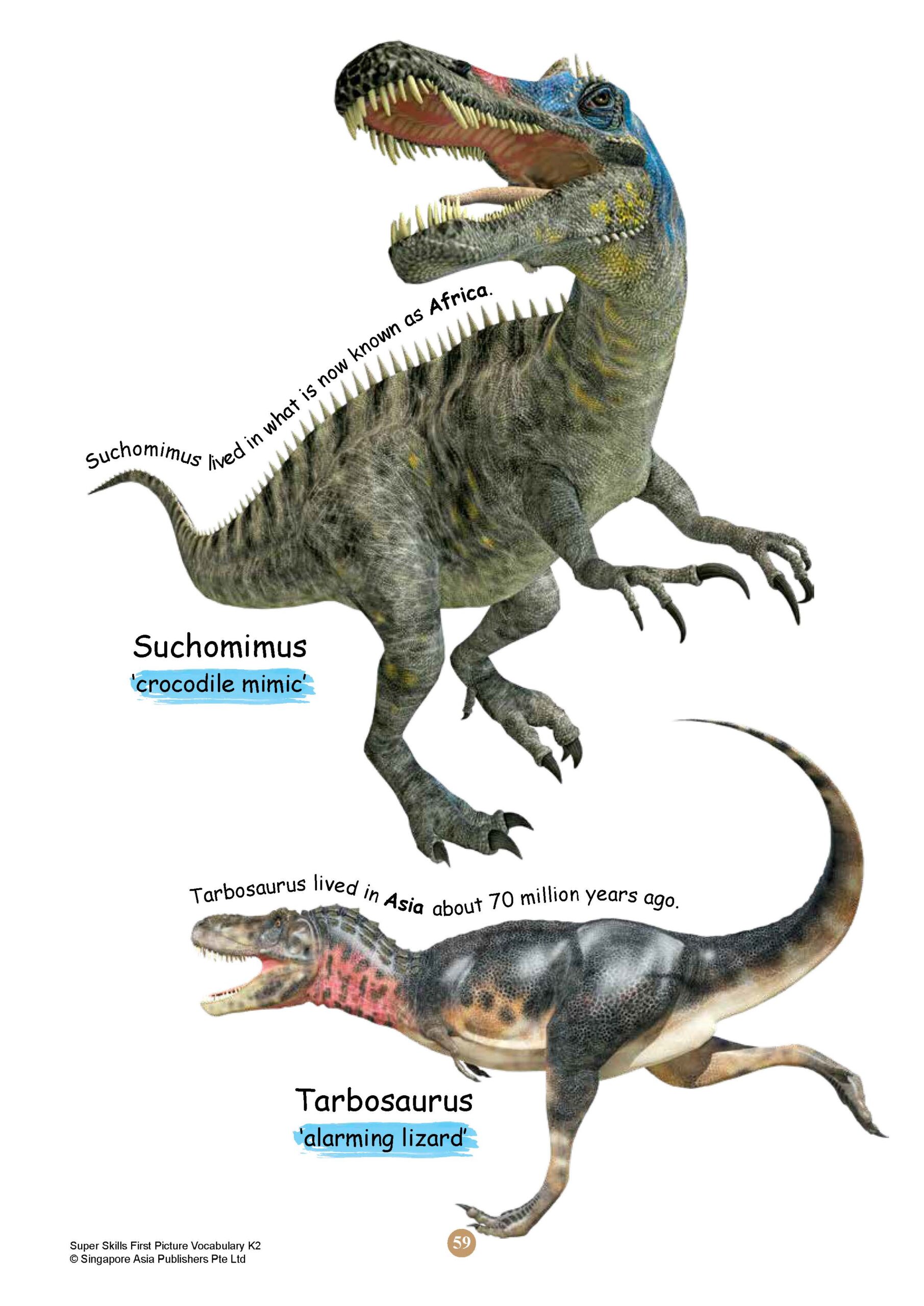 SUPER SKILLS First Picture Vocabulary Kindergarten 2