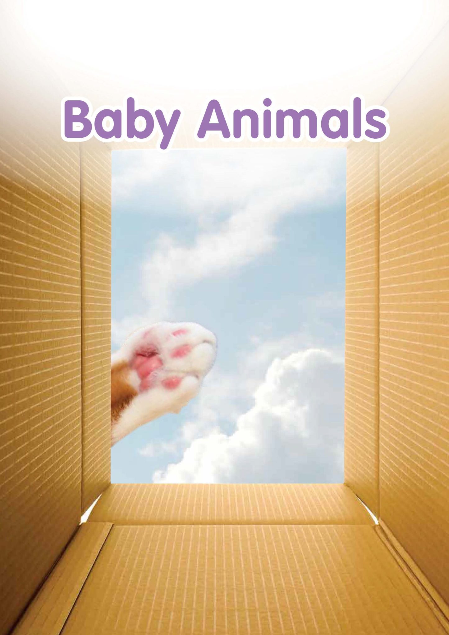 SUPER IQ English Level 2 (5-6 years)