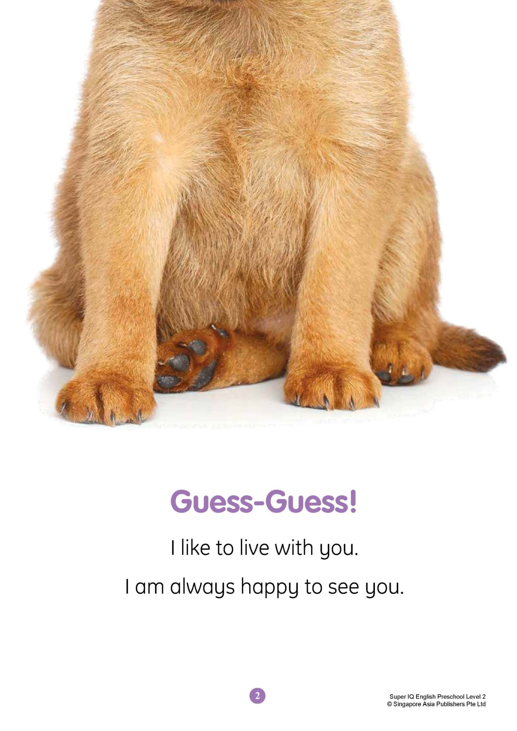 SUPER IQ English Level 2 (5-6 years)