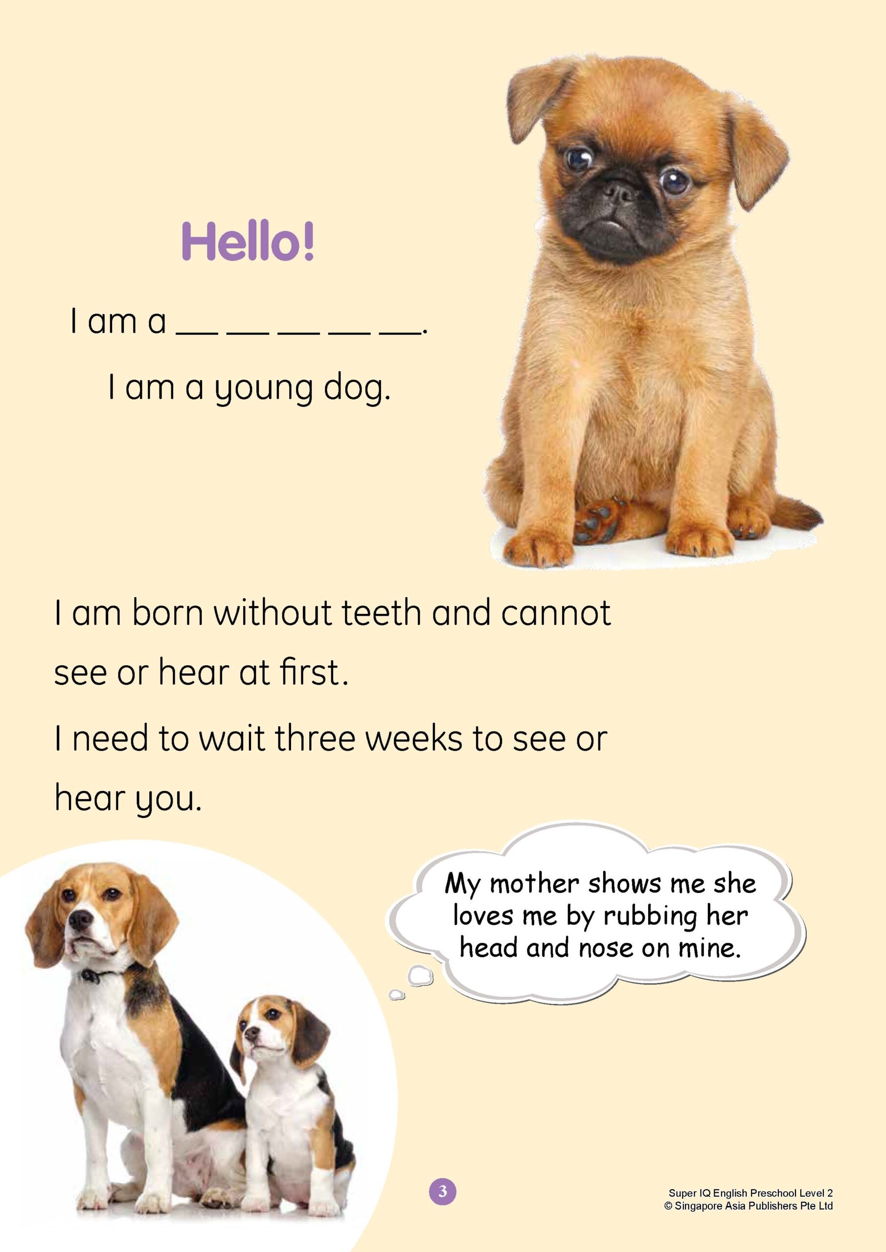 SUPER IQ English Level 2 (5-6 years)