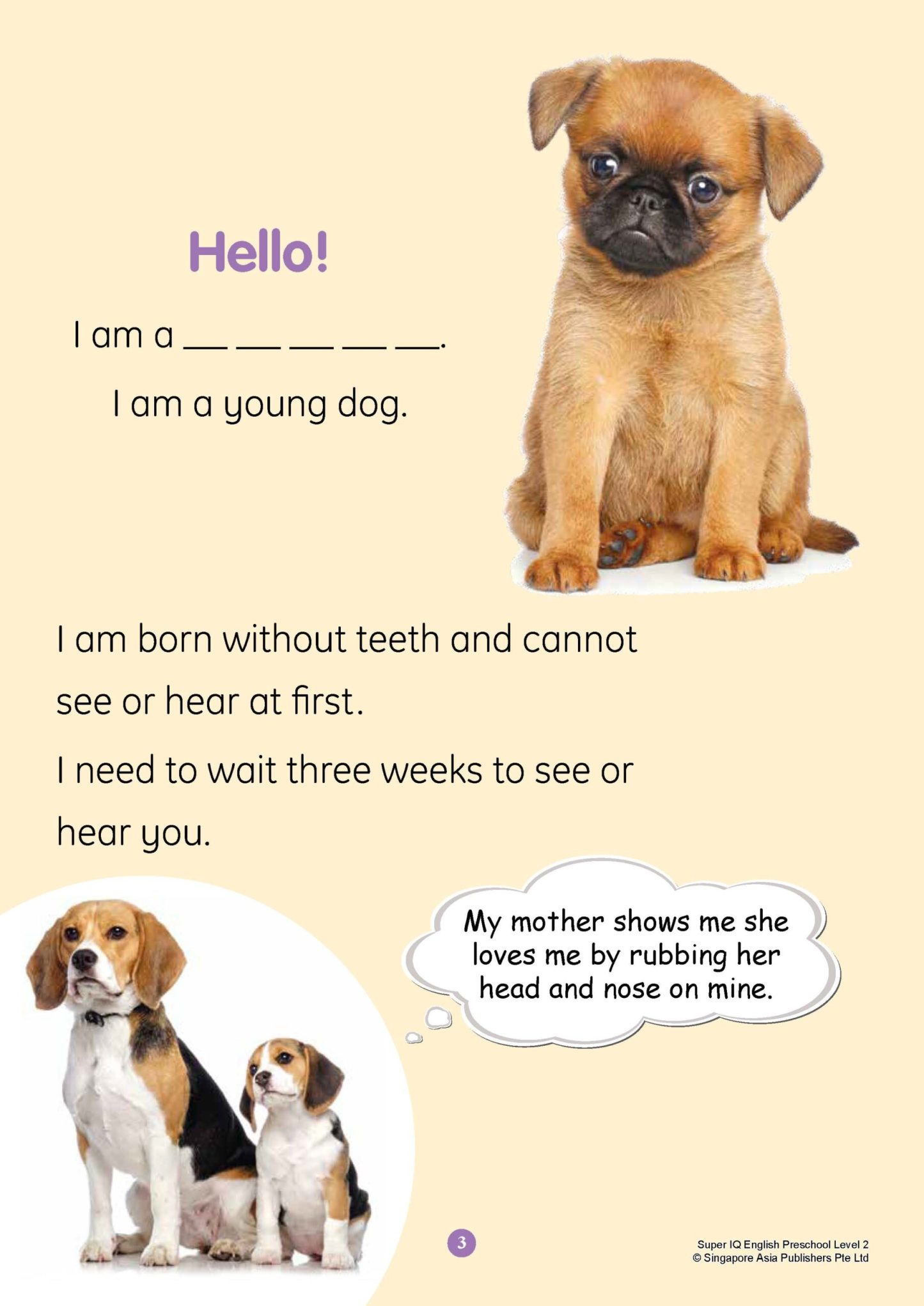 SUPER IQ English Level 2 (5-6 years)