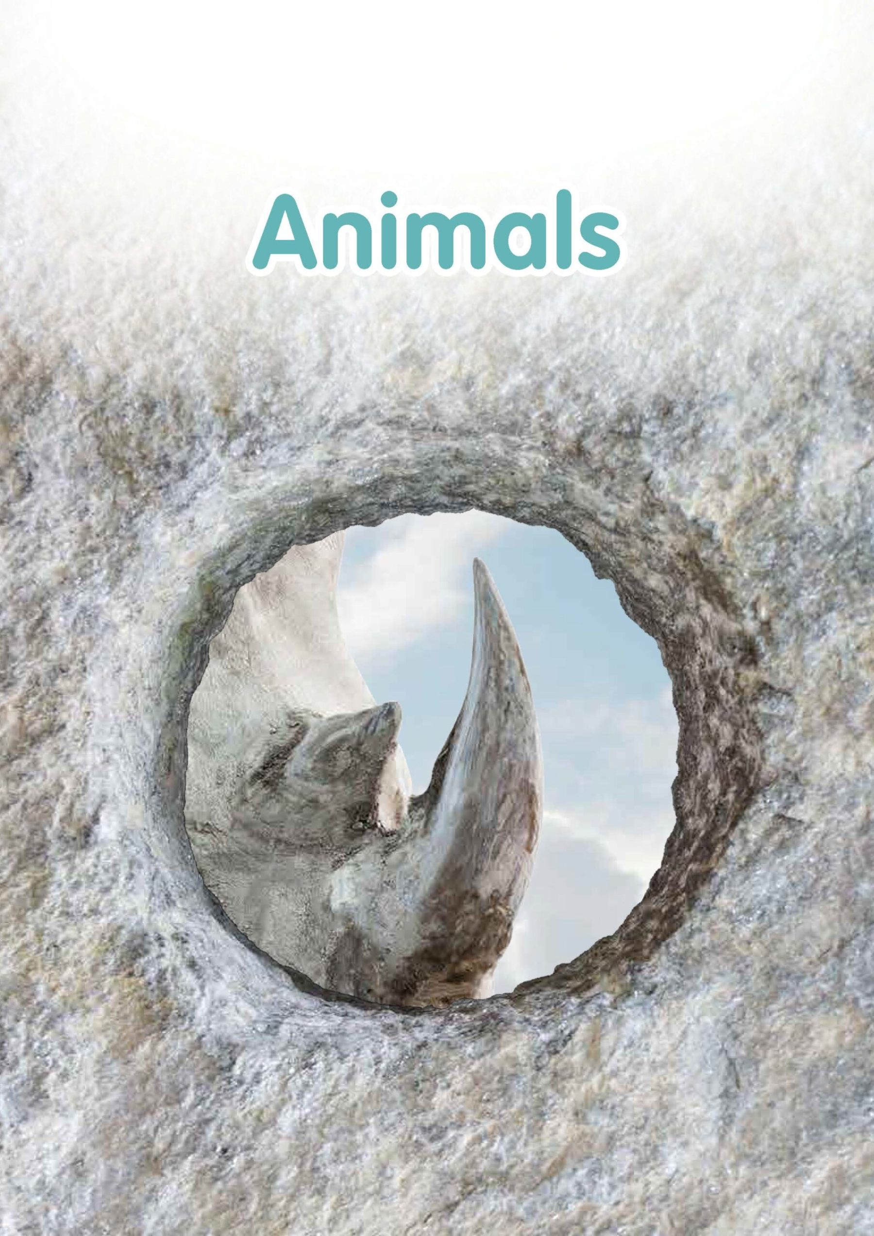 SUPER IQ English Level 1 (4-5 years)