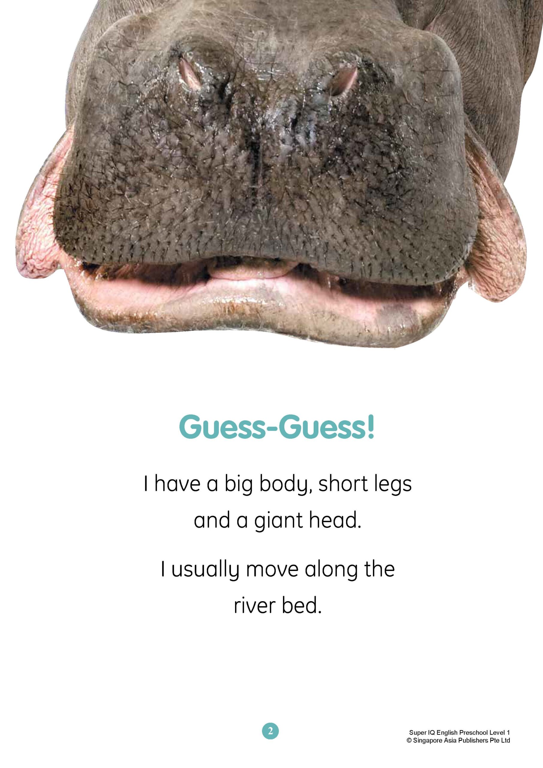 SUPER IQ English Level 1 (4-5 years)