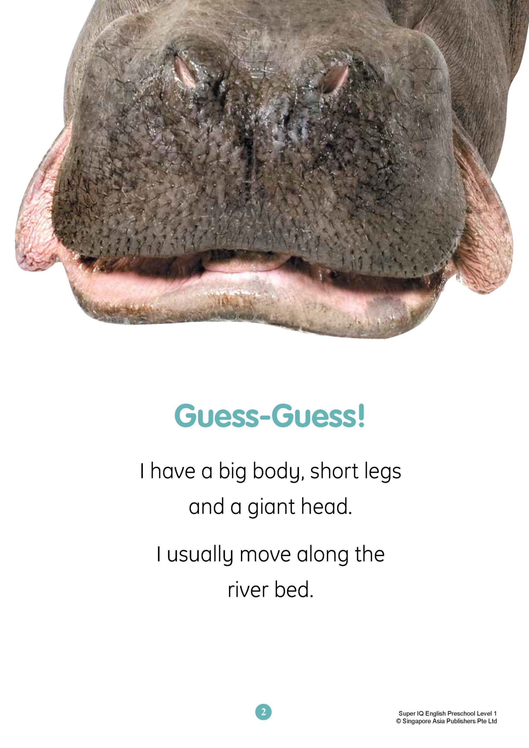 SUPER IQ English Level 1 (4-5 years)