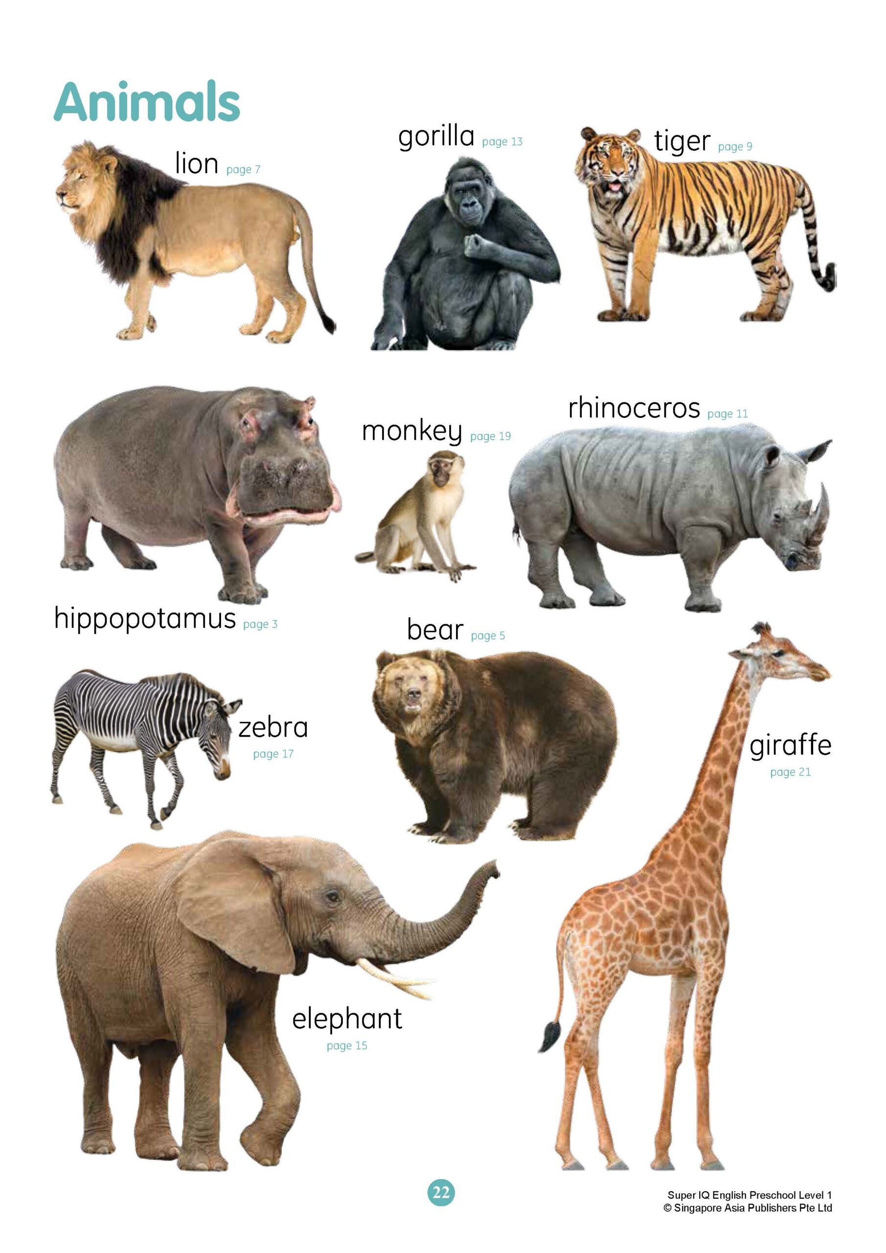 SUPER IQ English Level 1 (4-5 years)