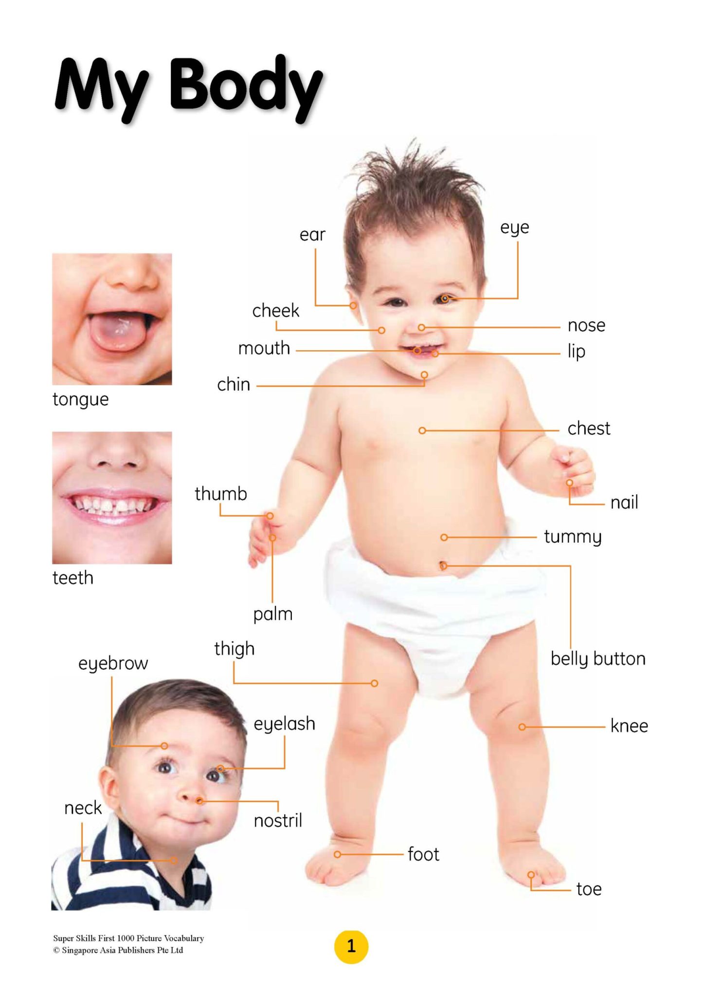 SUPER SKILLS First 1000 Picture Vocabulary