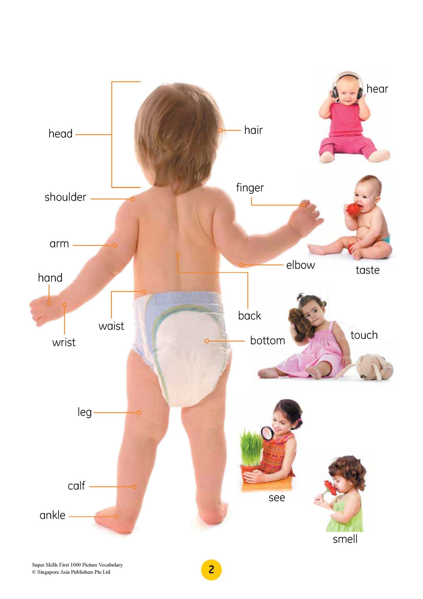 SUPER SKILLS First 1000 Picture Vocabulary