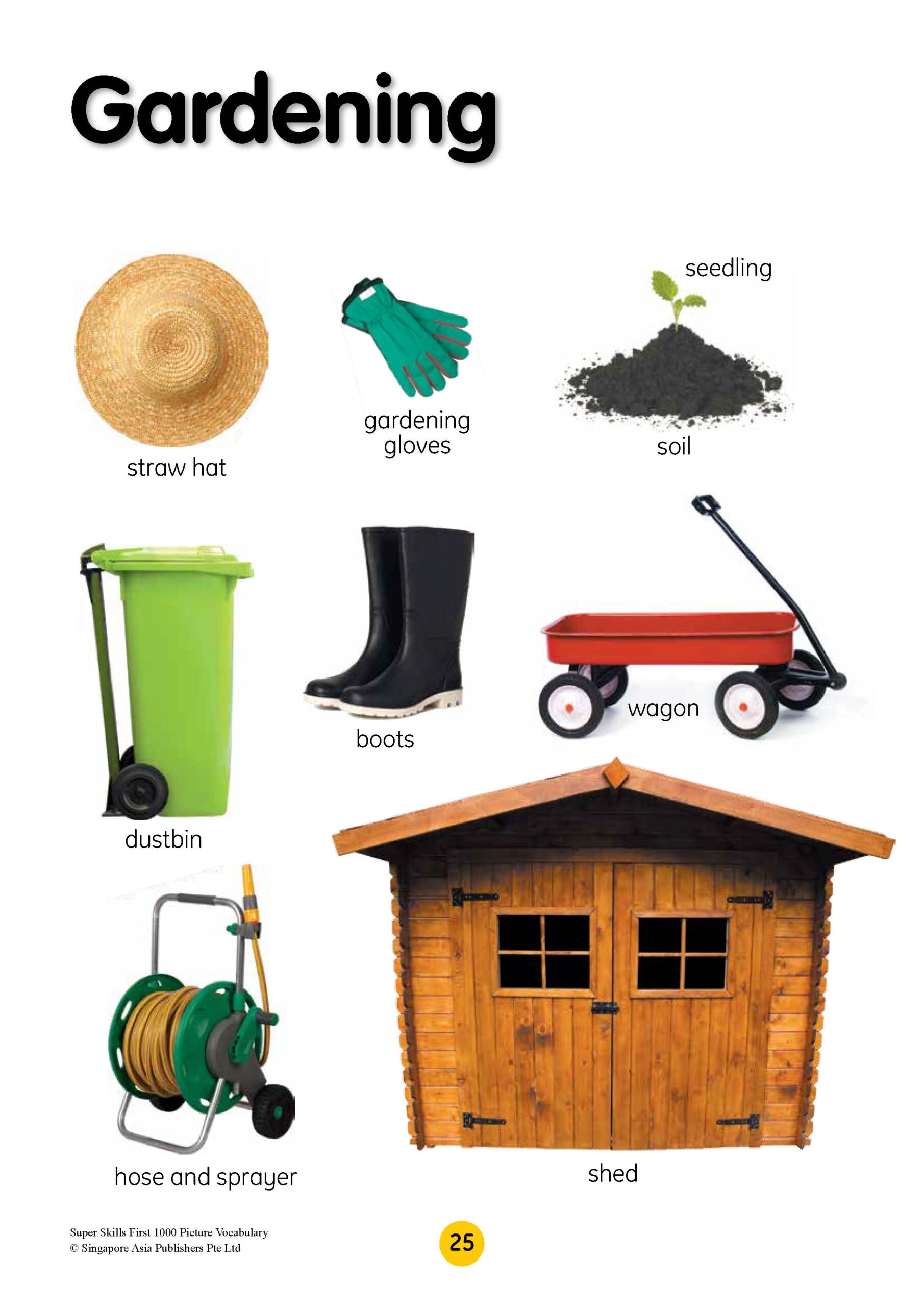 SUPER SKILLS First 1000 Picture Vocabulary