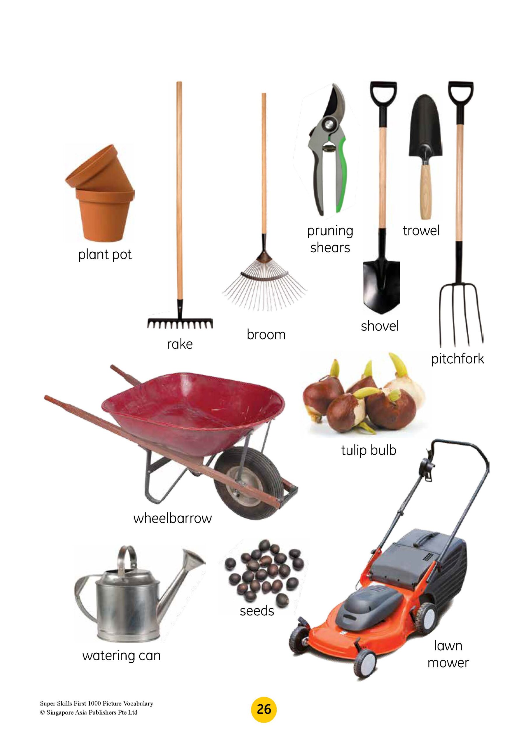 SUPER SKILLS First 1000 Picture Vocabulary