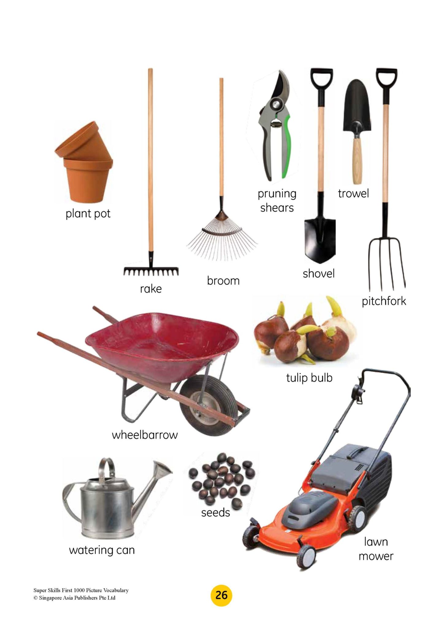 SUPER SKILLS First 1000 Picture Vocabulary