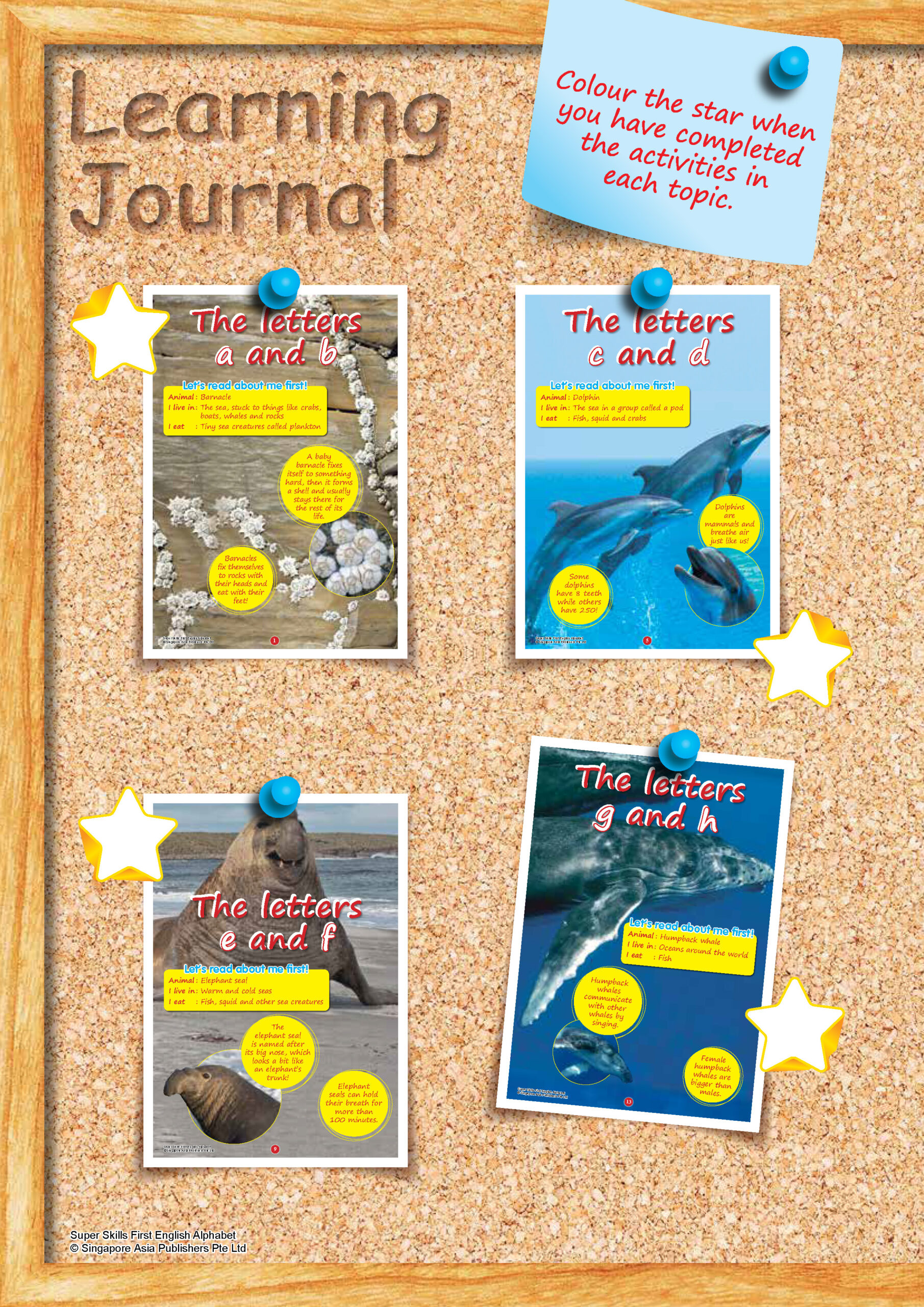 SUPER SKILLS First English ALPHABET (Age 3+ Years)