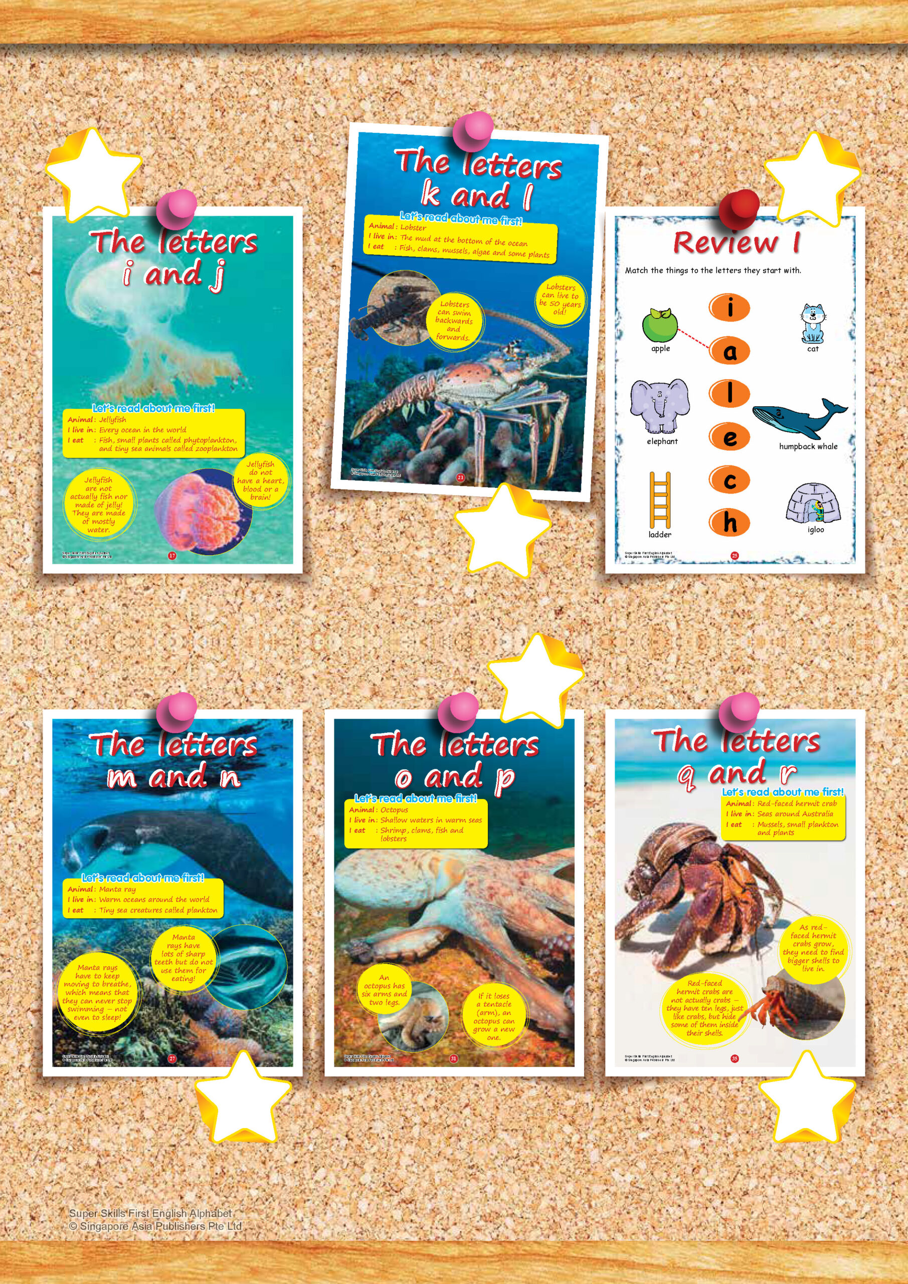 SUPER SKILLS First English ALPHABET (Age 3+ Years)