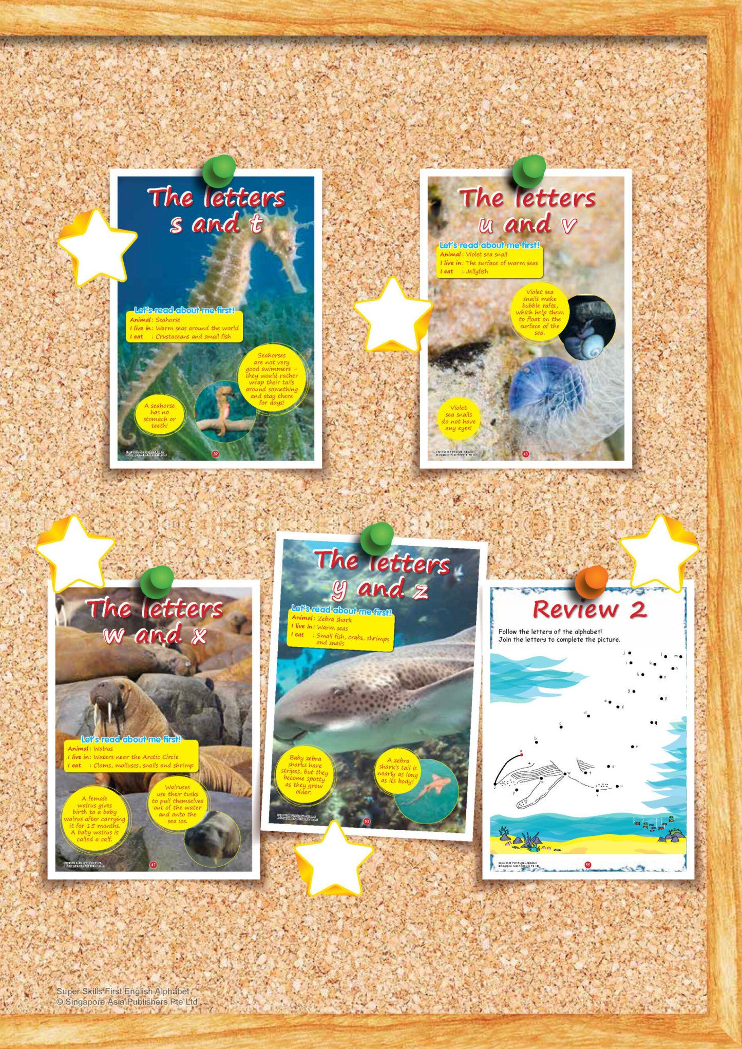 SUPER SKILLS First English ALPHABET (Age 3+ Years)