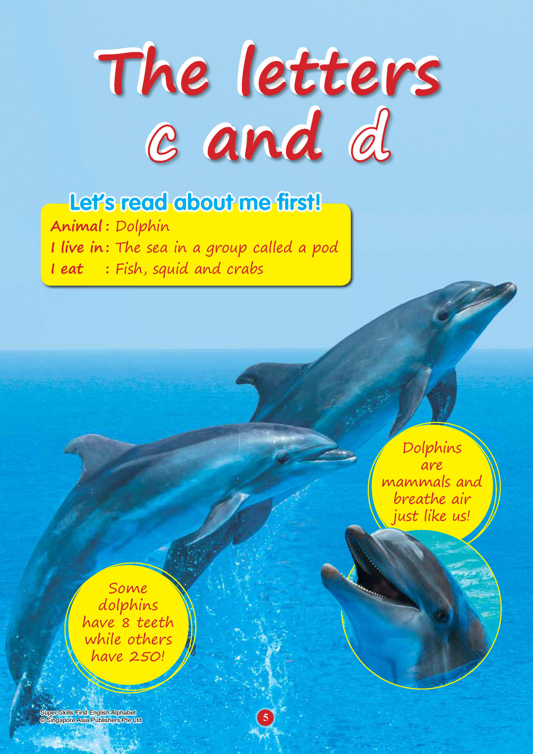 SUPER SKILLS First English ALPHABET (Age 3+ Years)