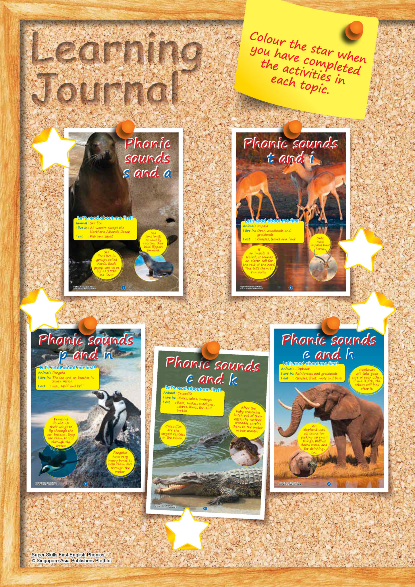 SUPER SKILLS First English PHONICS (Age 3+ Years)