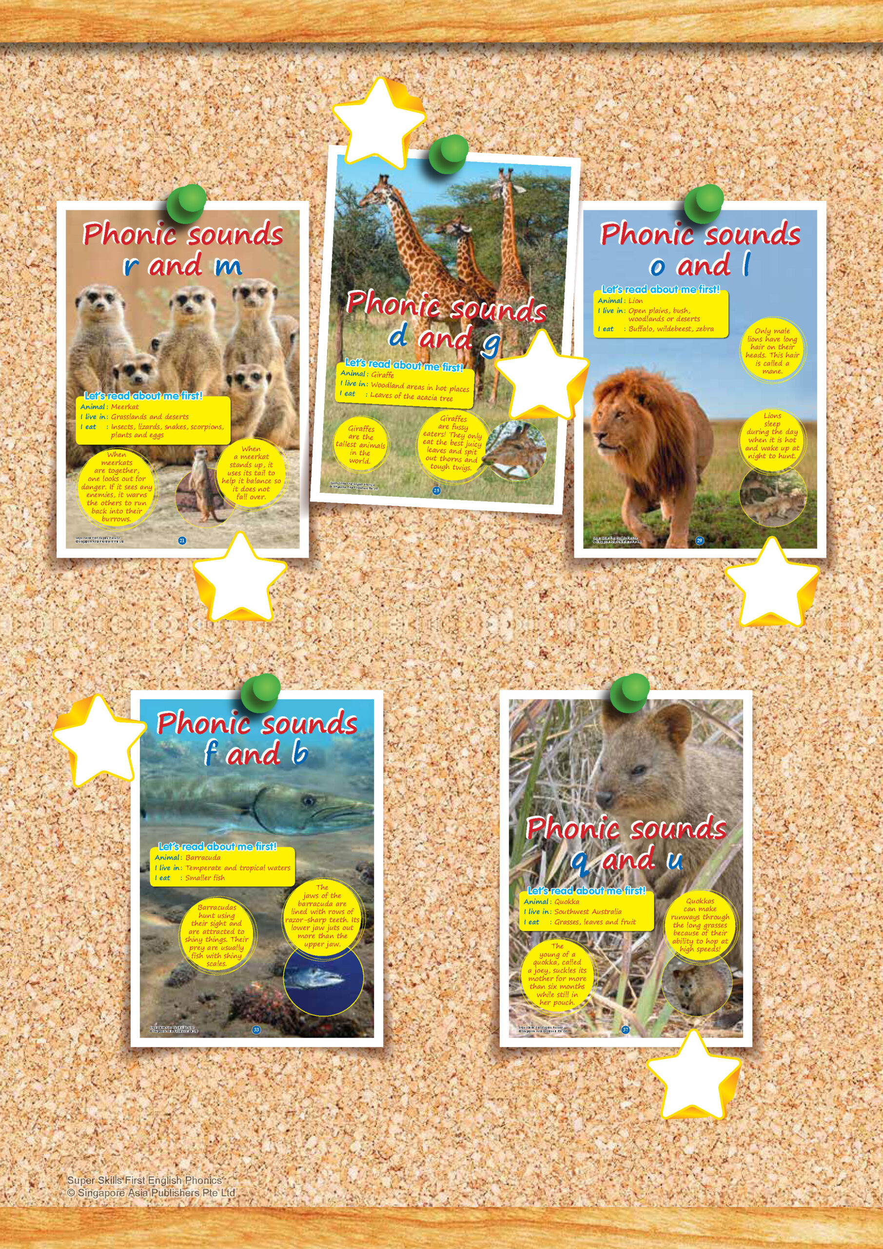 SUPER SKILLS First English PHONICS (Age 3+ Years)