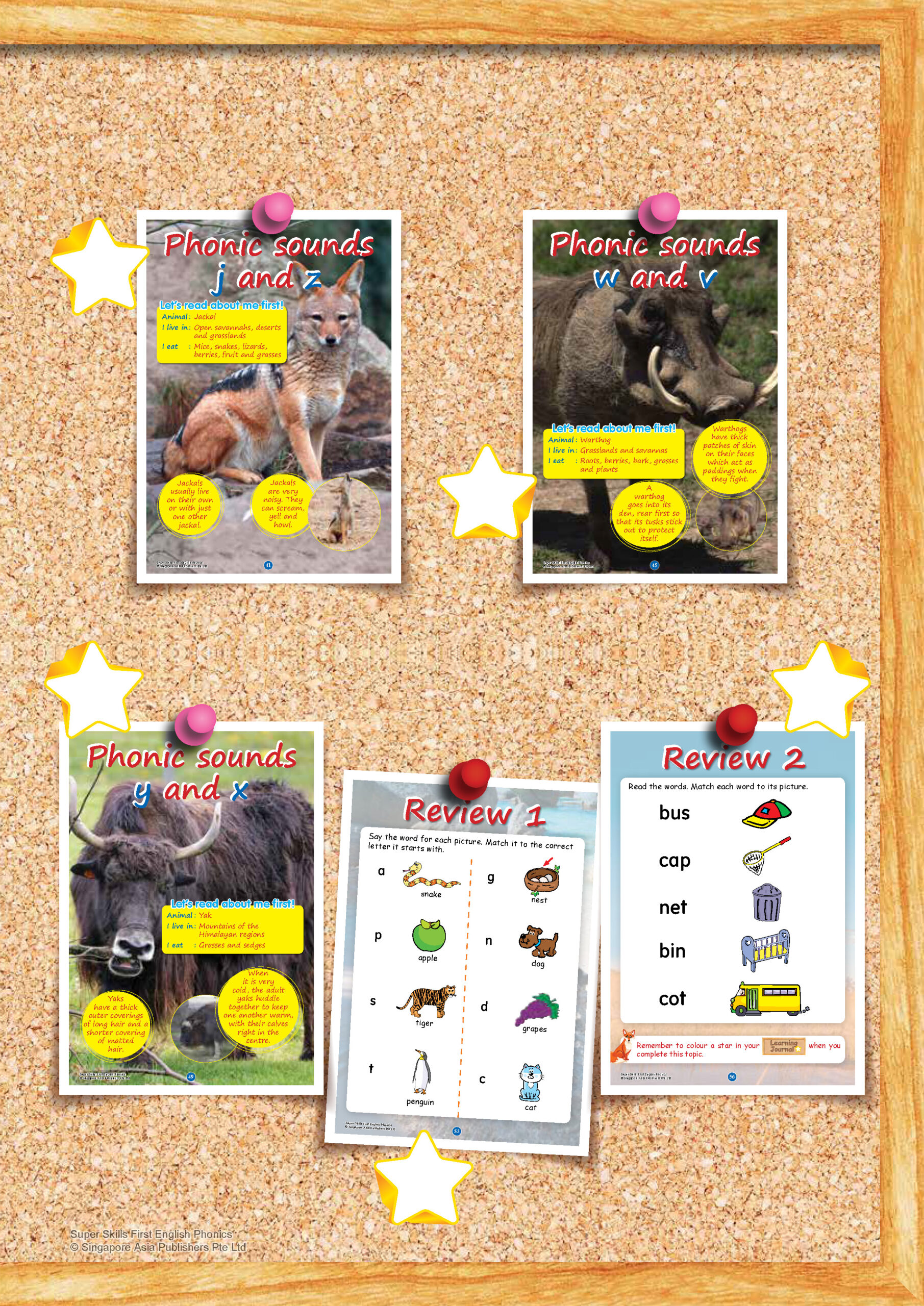 SUPER SKILLS First English PHONICS (Age 3+ Years)